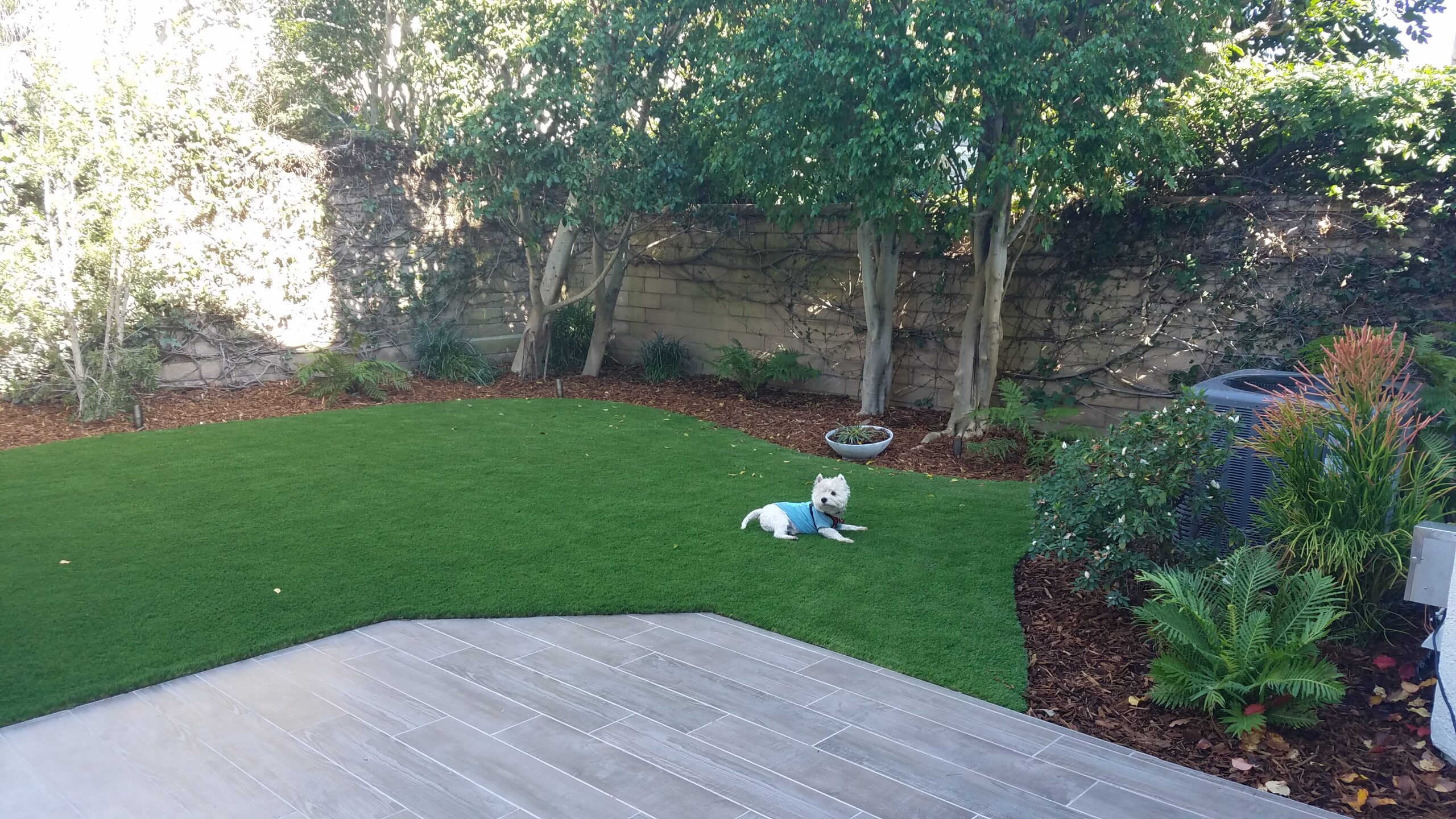 7505 W 85th St, Playa del Rey, CA, After Photo #34